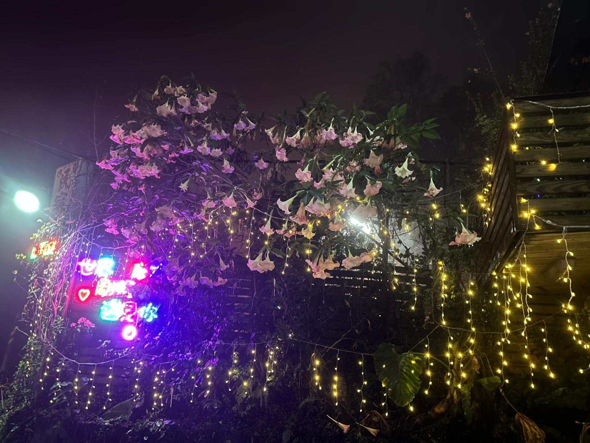 大方茶葉民宿 Fanlu Exterior photo